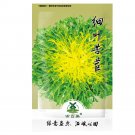 Cichorium Curled Home 1000pcs Endivia,(苦苣)Seeds Organic Green Garden Vegetable