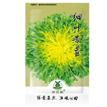 Cichorium Curled Home 1000pcs Endivia,(&egrave;�&brvbar;&egrave;�&pound;)Seeds Organic Green Garden Vegetable