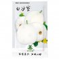 White Muskmelon Jar Melon Delicious 200pcs Seeds Sugar Garden