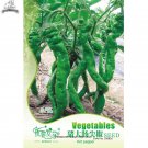 Intestines' Crooked Hot 30 / 'Pig Long Vegetable Seeds, Original Pack, Seeds ...