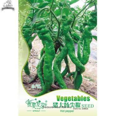 Intestines' Crooked Hot 30 / 'Pig Long Vegetable Seeds, Original Pack, Seeds ...