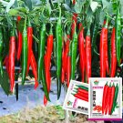 Flame-kissed Exquisite Red Cayenne Delight: Seeds
