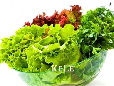 Lettuce Organic Spring Vegetable Seeds