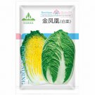 Phoenix Chinese Yellow Golden Cabbage Seeds,