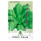Ho edible Chrysanthemum coronarium Asia 2000pcs Seeds Tong Veg(茼蒿）