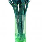 10 Rainbow Lucky Bamboo Bonsai Small Potted Purify Dracaena Simple for Home &...