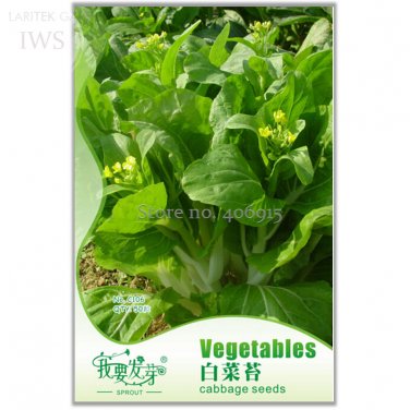 Heirloom Chinese 50 healthy Cabbage Vegetable Seeds, Original pack, gr...