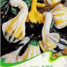 1 approx 8 / Bi-colored Ornamental Pumpkin with Five Pairs Cucurbita Original...