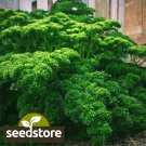 seeds 500 triple curled parsley | heirloom - non-gmo herb