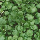 seeds 1000 true watercress (nasturtium officinale) non-gmo heirloom |