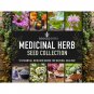 10 medicinal herb seed collection - essential heirloom herbs, non-gmo