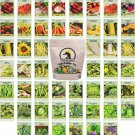 50 seeds set of assorted vegetable & herb - create a deluxe garden