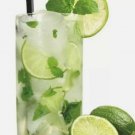 20 seeds mojito mint * rare herb medicinal aroma
