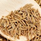 seeds 250 cumin | heirloom - non-gmo herb