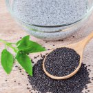 seeds 20 genovese basil / classic italian herb, heirloom - fresh (2025)