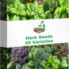 seeds 25 30,000 herb for planting, varieties heirloom culinary tea g
