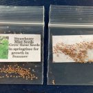 seeds strawberry mint 25 homegrown seller