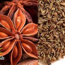 seeds anise (200) / organic florida grown delicious herb