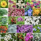 seeds 24 500 perennial wildflower mix - rock garden | ground cover types