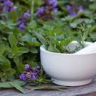 12 seeds medicinal herb set #1, seeds, individual packs of