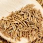 seeds cumin | heirloom - non-gmo herb seed store
