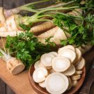 400 seeds hamburg rooted parsley - fresh harvest for gardens
