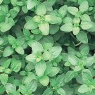 4000 thyme - common, thymus vulgaris. seeds.