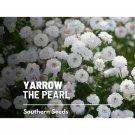 100 seeds yarrow, the pearl - heirloom flower medicinal herb double white