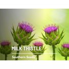 20 seeds milk thistle (blessed thistle) - heirloom medicinal & culinary herb,