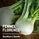 200 seeds fennel, florence - medicinal & culinary herb easy to grow nongmo