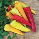 seeds 50 sweet banana pepper non-gmo fresh for your garden