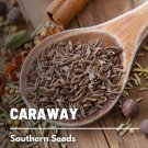 150 seeds caraway - medicinal & culinary herb heirloom nongmo