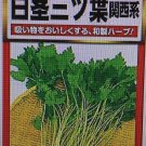 8500 seeds ship 20-gram mitsuba japanese parsley 三つ葉 압아근 鴨兒芹 like minari