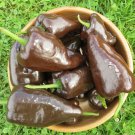 seeds 50 mulato isleno pepper non-gmo fresh for your garden