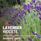 seeds 50 lavender hidcote blue • medicinal amazing fragrance fresh