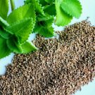 seeds ajwain / ajowan (200) organic indian cuisine