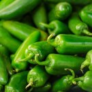 seeds 50 jalapeno pepper non-gmo fresh for your garden