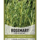 seeds rosemary