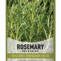 seeds rosemary
