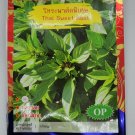 seeds thai sweet basil