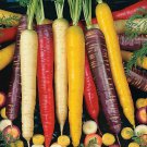 seeds 100 rainbow carrot blend mix - non gmo, heirloom ship