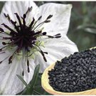 seeds black cumin (100) / nigella sativa organic culinary herb fl grown