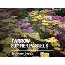 50 seeds yarrow, summer pastels (achillea millefolium) - heirloom medicinal