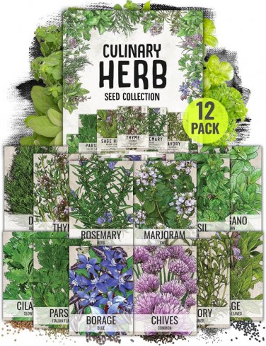 seeds 12 seed needs herb variety pack culinary collection pack, mixed