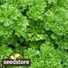 seeds forest green parsley | heirloom - non-gmo