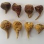 500 seeds peruvian black maca - lepidium meyenii ecotype