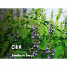 250 seeds chia - heirloom culinary & medicinal herb superfood non-gmo (sal