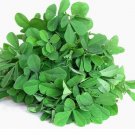 seeds fenugreek (organic) - methi herb 1. gram
