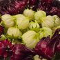 25 seeds roselle combo kit | red & white variety each hibiscus sabdariffa