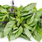 seeds indian basil heirloom family inherited 300 strong flavor 100% organic